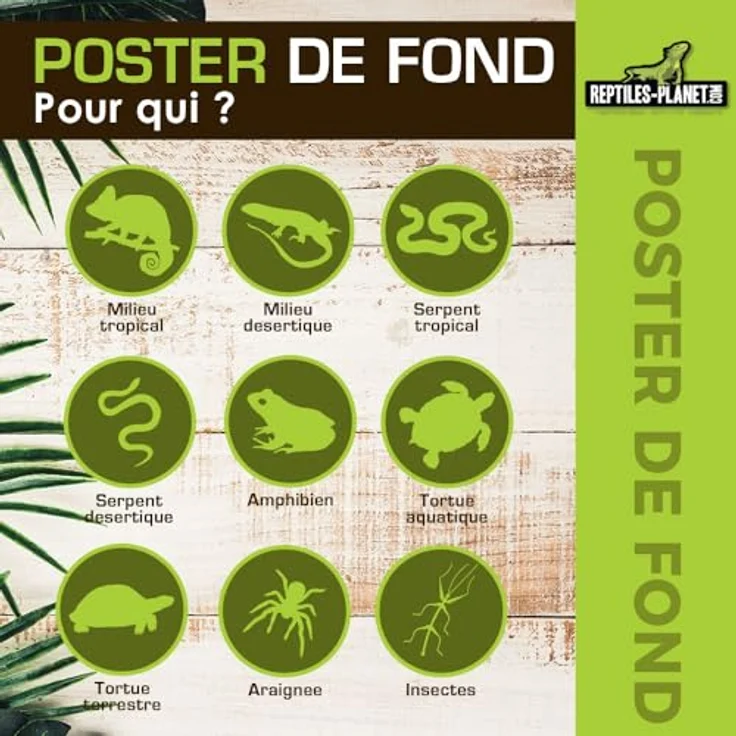 Reptiles-Planet Poster Waterfall Aquarium/Terrarium, Spritzwassergeschützt, 2-seitig, 15m Rolle, Höhe 50cm, lebendige Farben – Bild 4
