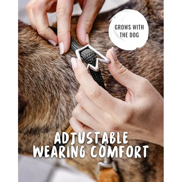Rudelkönig Hundehalsband Emma, Zugstopp-Halsband aus Leder und Nylon, ø 12mm, für mittelgroße Hunde, schwarz, witterungsfest und pflegeleicht – Bild 5