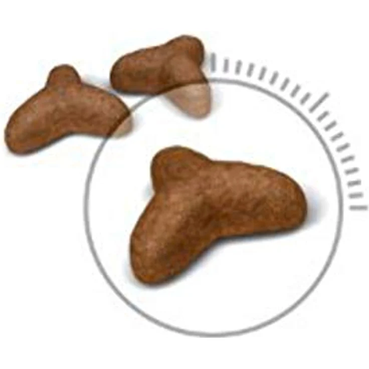Royal Canin Feline Light 40, Trockenfutter für ausgewachsene Katzen, 3,5 kg, zur Gewichtskontrolle mit geringem Fettgehalt – Bild 3