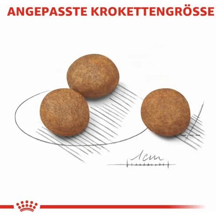 Royal Canin MAXI Puppy Trockenfutter für große Rassen, Alleinfuttermittel für Welpen bis 15 Monate, 4kg – Bild 8