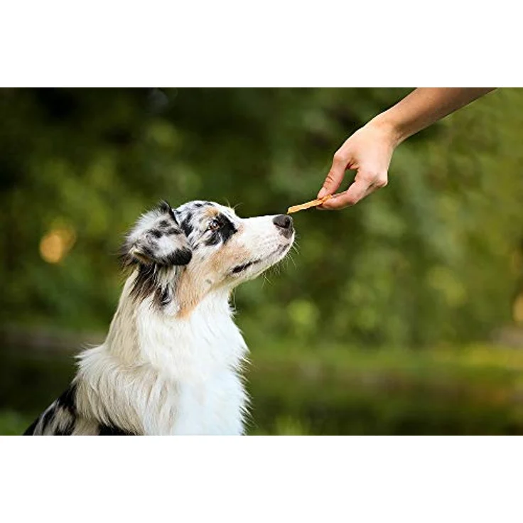 8in1 Fillets pro active Größe S, Hundesnack ohne Zucker mit Geflügel, 80 g – Bild 7