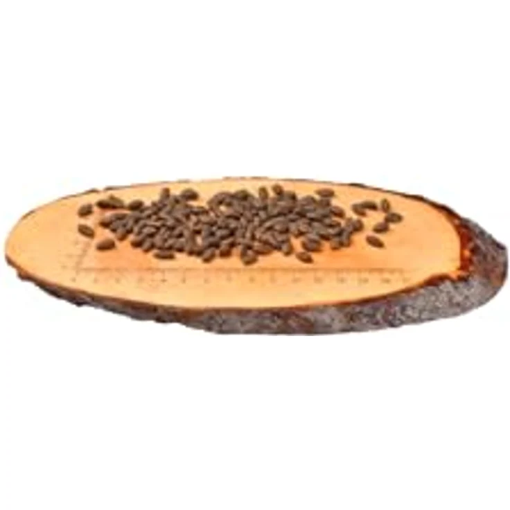 CARNILOVE Katze Sterilise, Trockenfutter mit Lachs, grain-free, 2 kg – Bild 5