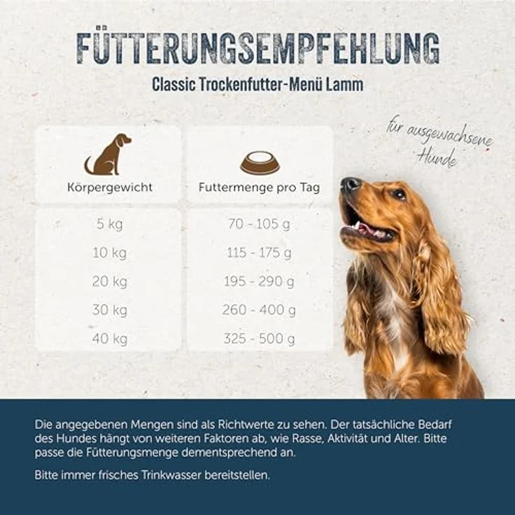 Lakefields Classic Hundefutter trocken, Lamm 60%, getreidefreies Trockenfutter mit Kartoffeln, Blattspinat und Kräutern, 1 kg, schonend gebacken – Bild 5