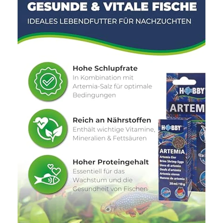 HOBBY Aquaristik Artemia Eier 20 ml, Lebendfutter für Aquarienfische zur Zucht von Artemia-Nauplien, nährstoffreiches Futter für Süß- und Salzwasserfische – Bild 2
