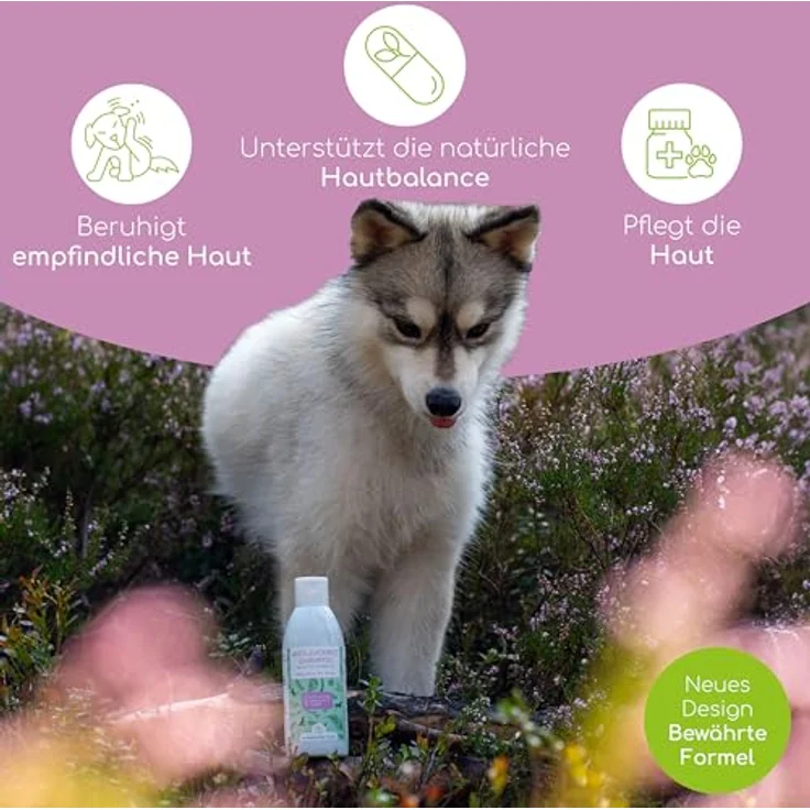 Wolfsbacher Anti-Juckreiz Shampoo für Hunde, Sensitiv Hundeshampoo mit Zedernöl & Lavendel, 200ml – Natürliche Hilfe bei Juckreiz, Milben & trockener Haut – Bild 2