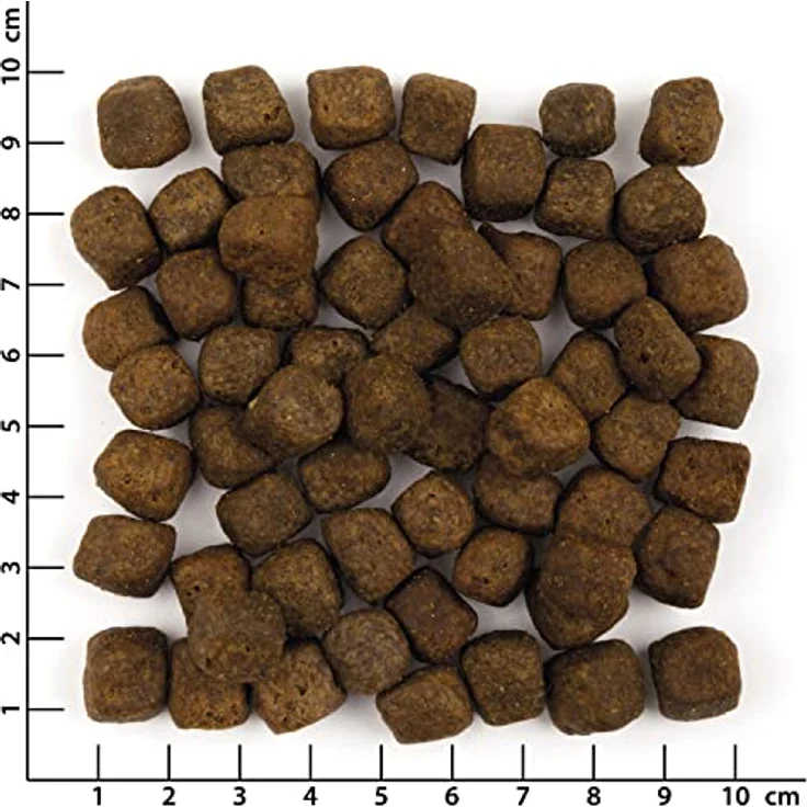 Wolfsblut Wild Duck Adult, Trockenfutter für Hunde mit Ente, 12,5 kg, getreidefrei, ohne Zusatzstoffe, reich an Fleisch und Superfood-Komplex – Bild 3