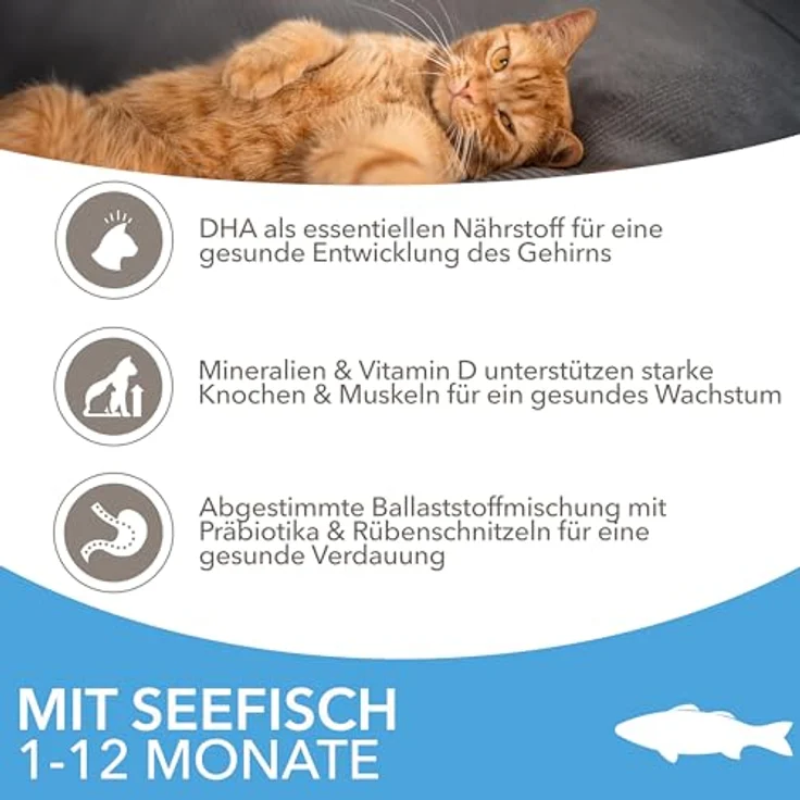 IAMS for Vitality Junior Katzenfutter mit Fisch, Trockenfutter für Kätzchen 1-12 Monate, 10 kg, reich an tierischen Proteinen, weizenfrei, unterstützt gesunde Entwicklung und glänzendes Fell – Bild 3