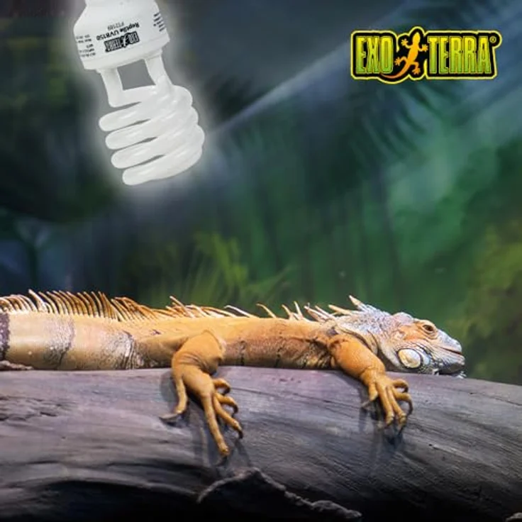 Exo Terra Reptile 10.0 Wüstenlampe E27, 25 W UVB-Strahlung für Terrarien mit hohem Vitamin-D3-Nutzen – Bild 2