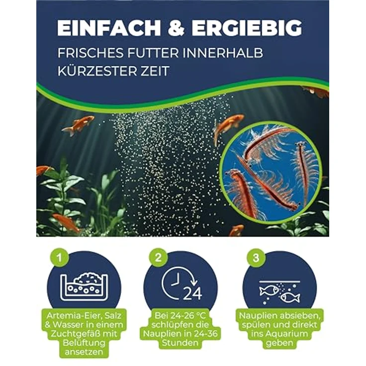 HOBBY Aquaristik Artemia Eier, 150 ml, Lebendfutter zur Zucht von Artemia-Nauplien, nährstoffreiche Ernährung für Aquarienfische – Bild 3