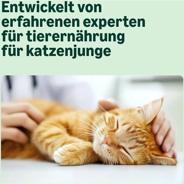 by Amazon Katzenfutter für junge Katzen (Junior), Trockenfutter mit 67 % frischem Huhn, getreidefreie Rezeptur, 3 kg (1er-Pack) – Bild 3