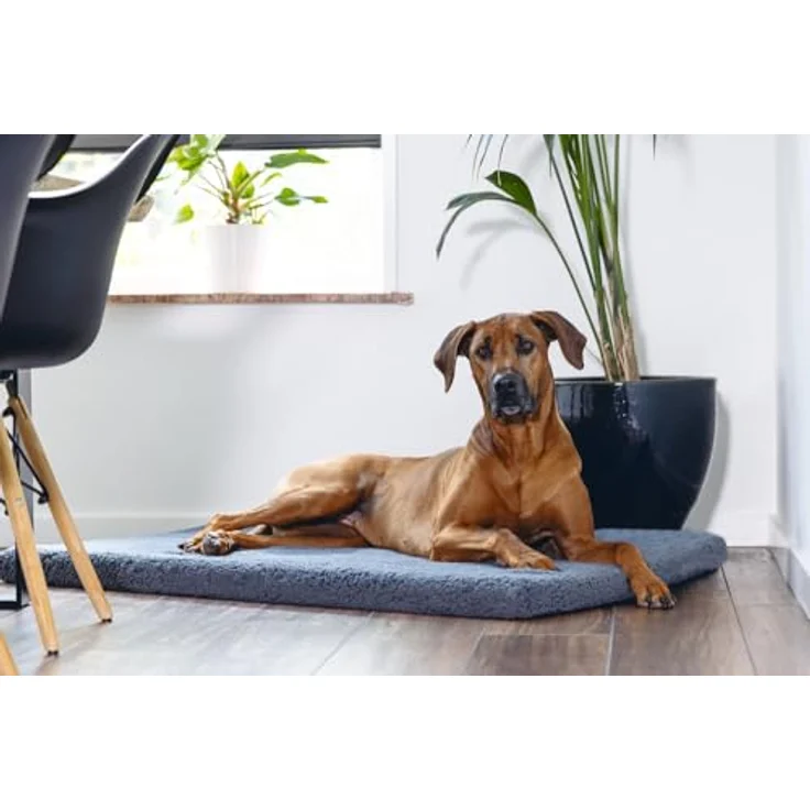 Beeztees Tierkissen Memory Foam Liegekissen Ito dunkelgrau, orthopädisches Hundekissen mit Sherpa-Fleece Material – Bild 4