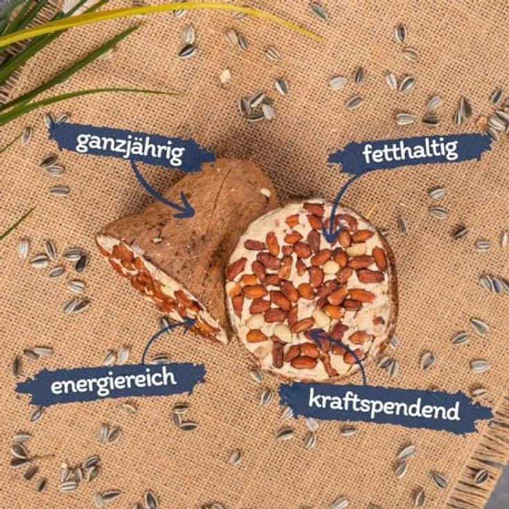Lyra Pet® Futterglocken mit Erdnüssen, 2 x 8 STK. | Mineralstoffreiches & fetthaltiges Vogelfutter in biologisch abbaubaren Kokosfasern – Bild 2