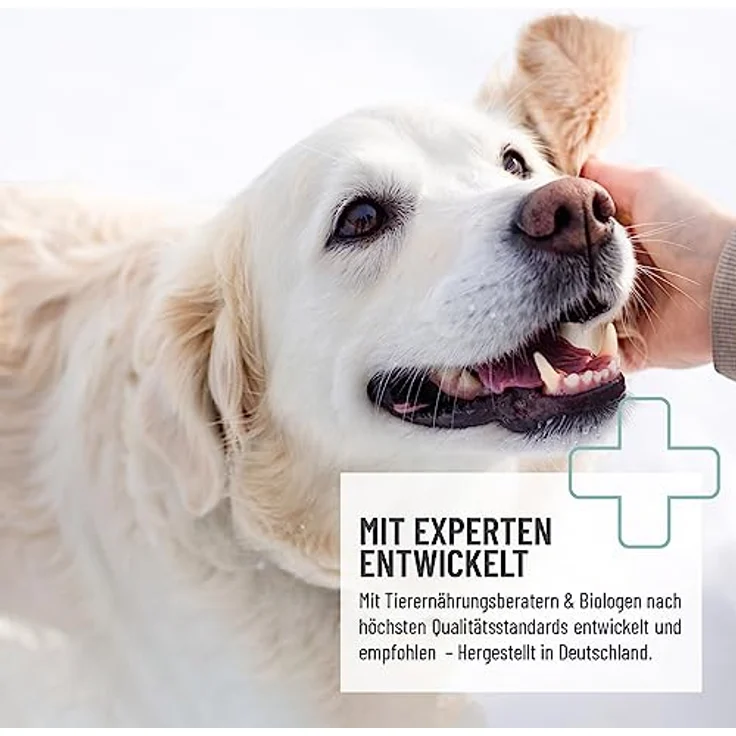REAVET Relax Paste 30ml, natürliche Entspannungshilfe für Hunde mit praktischem Applikator und hohem Akzeptanzgeschmack – Bild 2