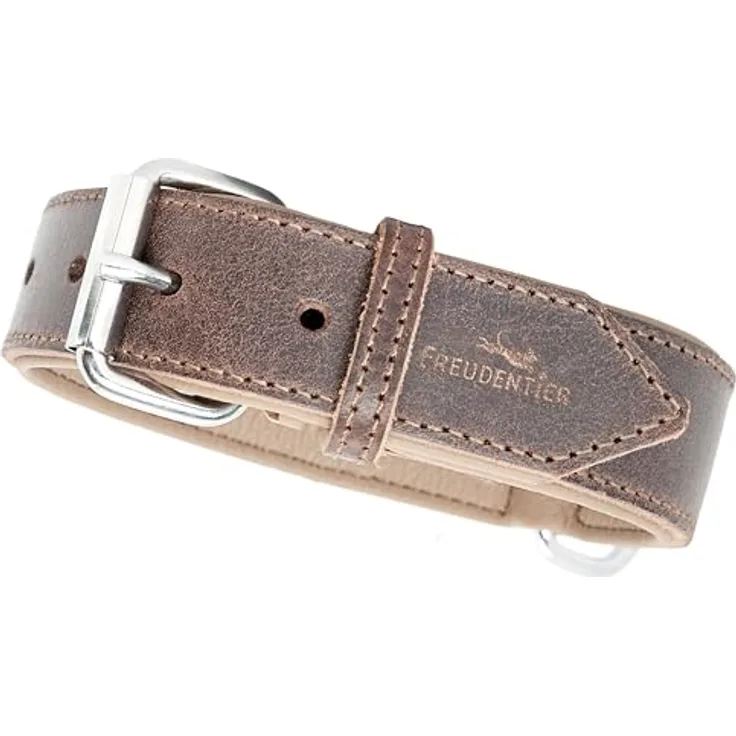 FREUDENTIER Hundehalsband Amstelpark, gepolstert aus LWG Gold zertifiziertem Leder, Made in EU, 42-52 cm, Dark Chocolate, inkl. Geschenksäckchen