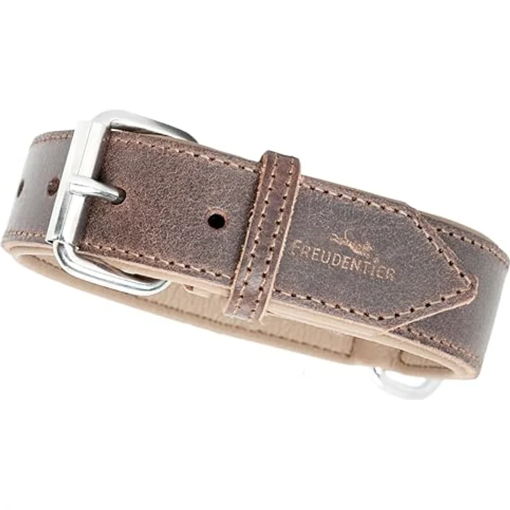 FREUDENTIER Hundehalsband Amstelpark, gepolstert aus LWG Gold zertifiziertem Leder, Made in EU, 42-52 cm, Dark Chocolate, inkl. Geschenksäckchen – Bild 1