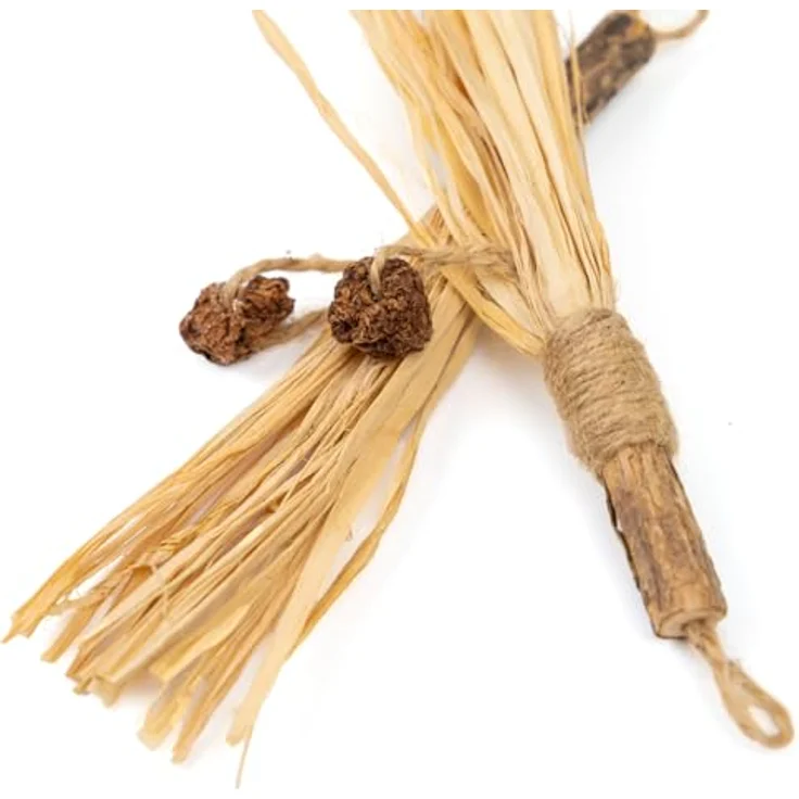 CanadianCat Company Matatabi Sticks mit Bast, Katzenspielzeug zur Förderung der Zahngesundheit, 2 Stück, für kleine bis mittelgroße Katzen – Bild 3