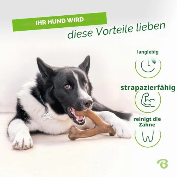 Benebone Wishbone, Langlebiges Kauspielzeug für aggressive Kauer, echter Erdnussgeschmack, Größe S – Bild 3