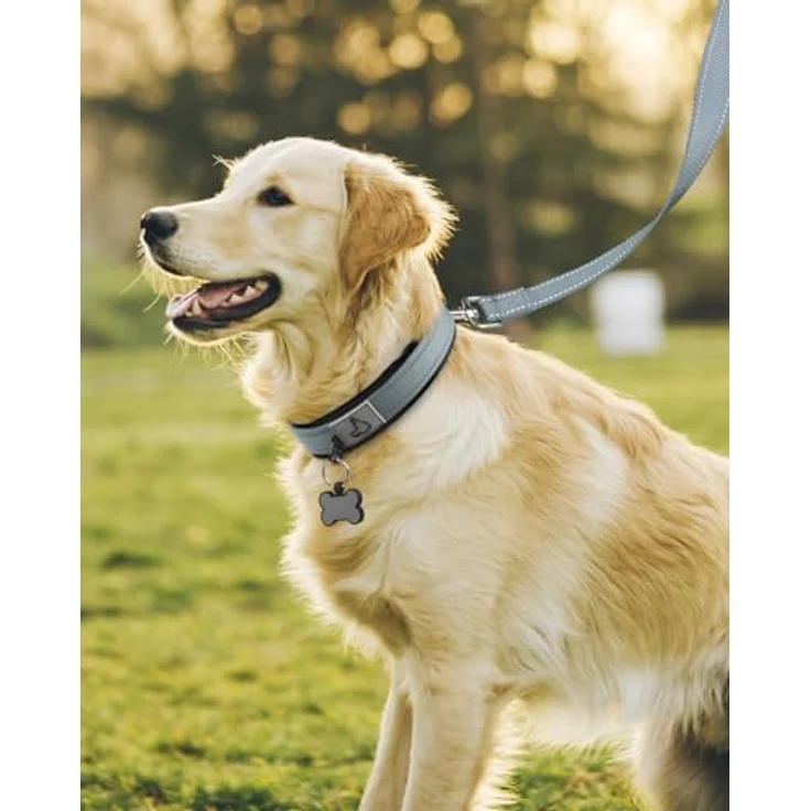 Joytale Gepolstertes Neopren Hundehalsband für Große Hunde, Nylon Reflektierend, Grau, Doppellagige Konstruktion, Robust und Leicht – Bild 3