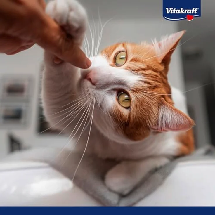 Vitakraft Vita Hearts, Skin and Coat, Softer Katzensnack mit Lachs, für gesunde Haut und glänzendes Fell, 40g – Bild 5