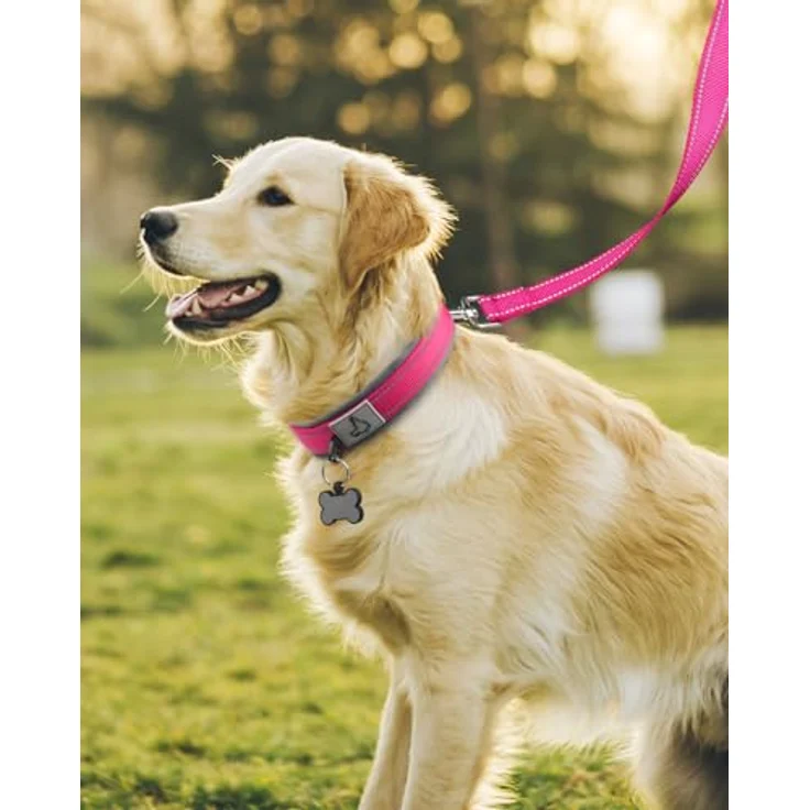 Joytale Hundehalsband, Gepolstertes Neopren Halsband für große Hunde, Nylon Reflektierend, Leuchtend Rosa, 48-68 cm – Bild 3