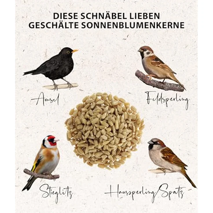 Dehner Natura Premium Wildvogelfutter, Sonnenblumenkerne schalenfrei, proteinreiches Ganzjahresfutter für Wildvögel, 5 kg – Bild 4