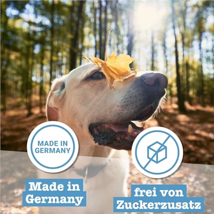 Chewies Goodies Sparpaket, 4 x 200 g Hundesnacks mit Seelachs, halb-feucht, hohe Akzeptanz – Bild 7
