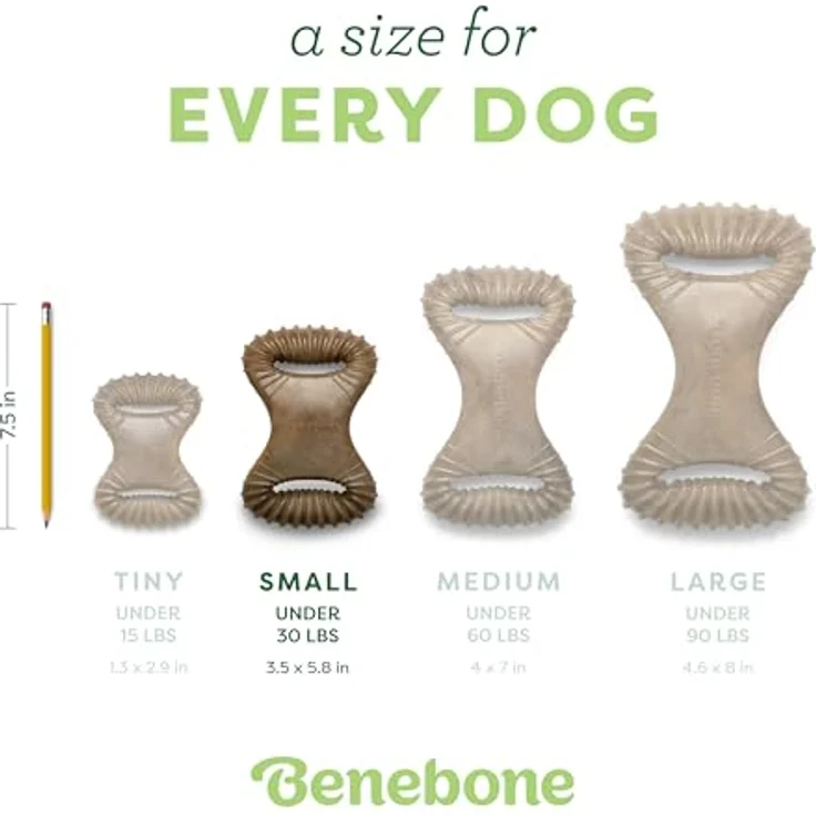 Benebone Dental Kauspielzeug, für aggressive Kauer, mit echtem Huhn, Größe S, langlebig und zahnstimulierend – Bild 4