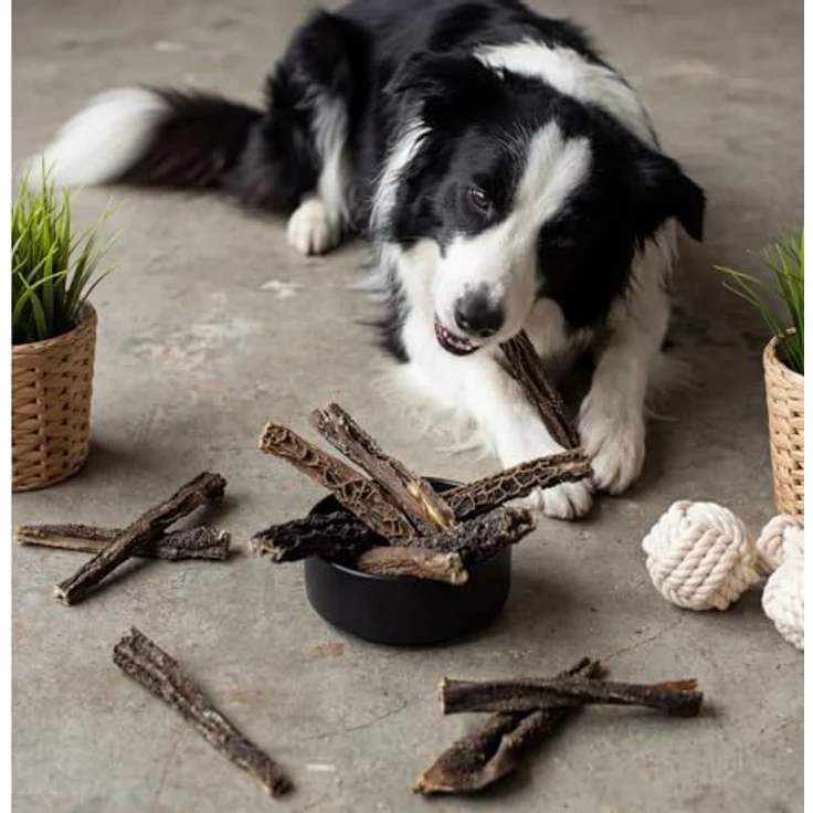 Lyra Pet® Lammpansen getrocknet, 1 kg natürlicher Kausnack für Hunde, proteinreich und gut verträglich – Bild 4