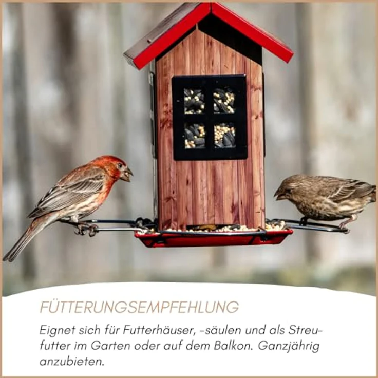 Supravit Spatzenfutter & Sperlingsfutter 25kg – Premium Wildvogelfutter mit Mehlwürmern, energie- und proteinreiches Ganzjahresfutter für Gartenvögel und heimische Wildvögel – Bild 5