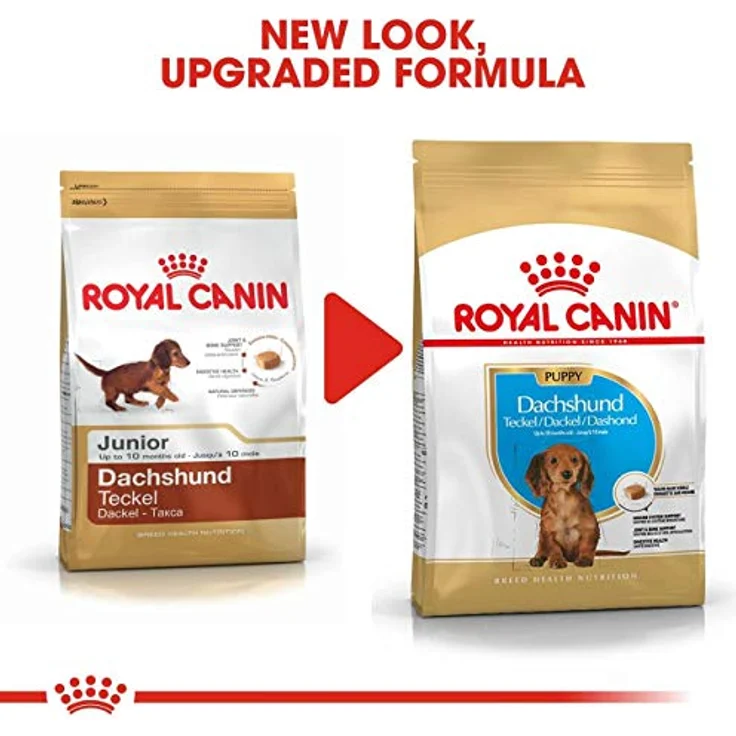Royal Canin Dachshund Puppy, Trockenfutter für Dackelwelpen, 1,5 kg – Bild 2