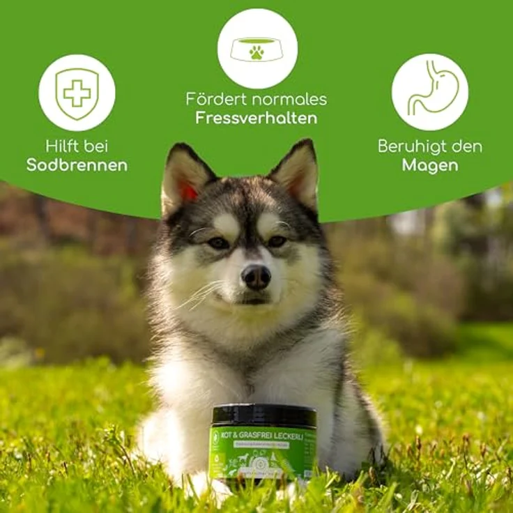 Wolfsbacher Gras KOTFRESSER Drops, 125 präbiotische Hundesnacks gegen Verdauungsprobleme, 100% natürlich mit Naturmoor und Flohsamen, ohne Getreide und Zucker, reduziert Sodbrennen – Bild 2