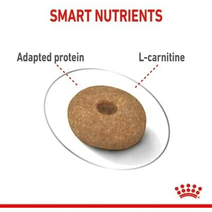 Royal Canin Mini Light Weight Care, Hunde-Trockenfutter für Erwachsene, leichtes Gewicht, 3 kg – Bild 3