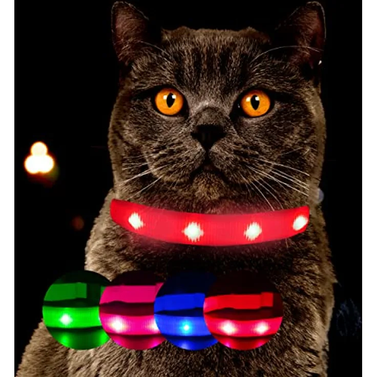 Petsation Leuchthalsband für Katzen [Das Original], LED Katzenhalsband mit starker Leuchtkraft & 3 Leuchtmodi, sehr lange Akkulaufzeit, Größe L, Rot