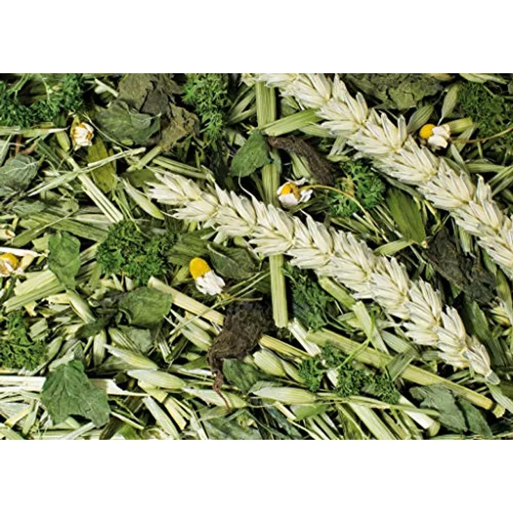 JR FARM Kräutergarten 500 g, gesundes Kleintierfutter mit neun Kräutern, zur Zahn- und Vitalitätsförderung, made in Germany