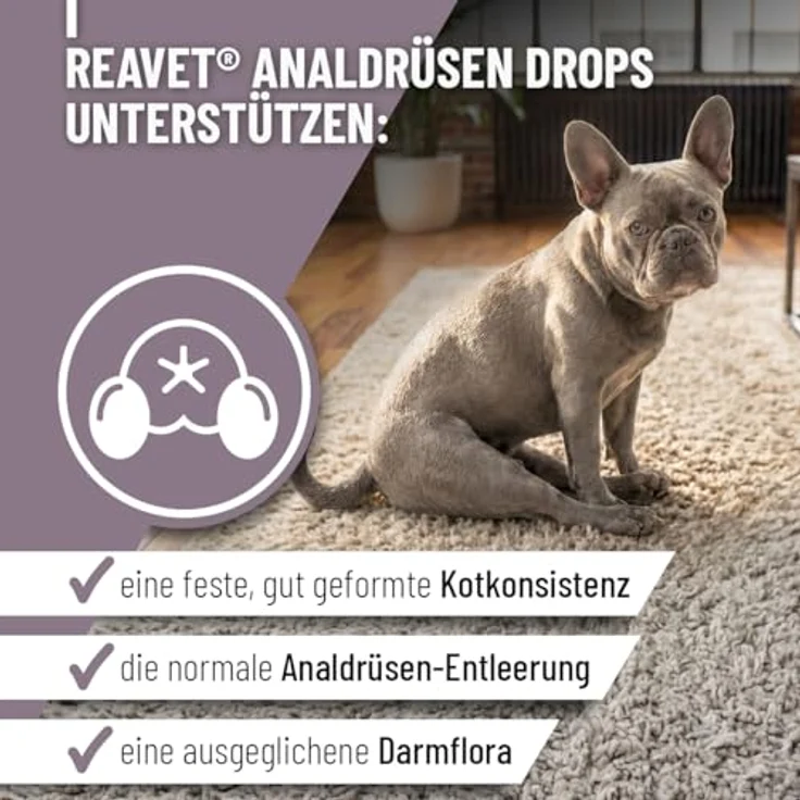 ReaVET Analdrüsen Unterstützung Hund, 350g (140 Drops) – Flohsamenschalen, Ballaststoffe & lebende Kulturen – Getreidefrei für feste Kotkonsistenz – Bild 2