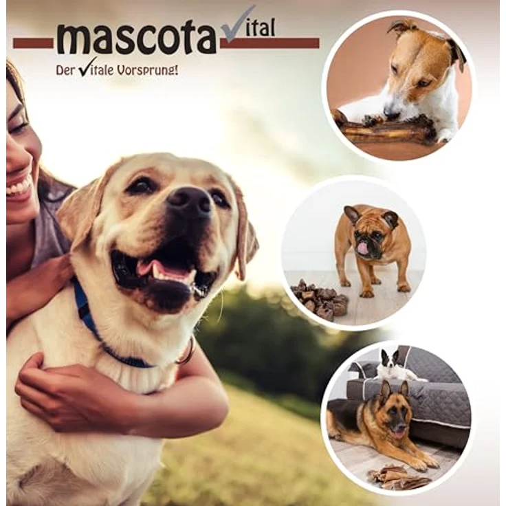 mascota vital Pferde-Lunge 200g, 100% Pferd, schonend getrocknet, hypoallergen und leicht verdaulich, weiche Konsistenz – Bild 4