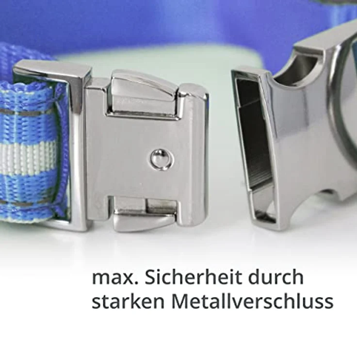 BI International Leuchthalsband für Hunde [Das Original], LED Hundehalsband mit 3 Leuchtmodi und langlebigem Metallverschluss, schnelles Aufladen über USB – Bild 3