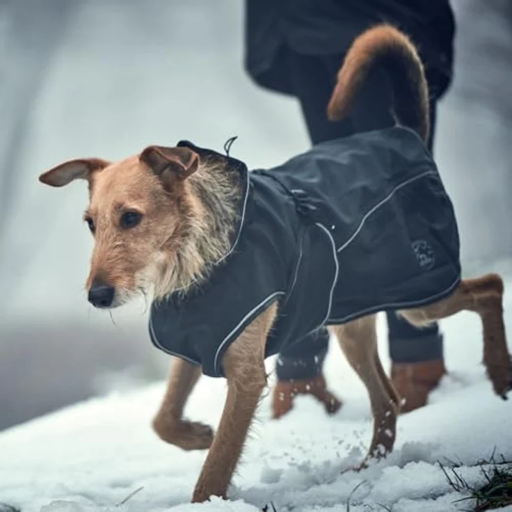 Hunter Hunde-Mantel Uppsala Softshell 40 cm – Bild 9