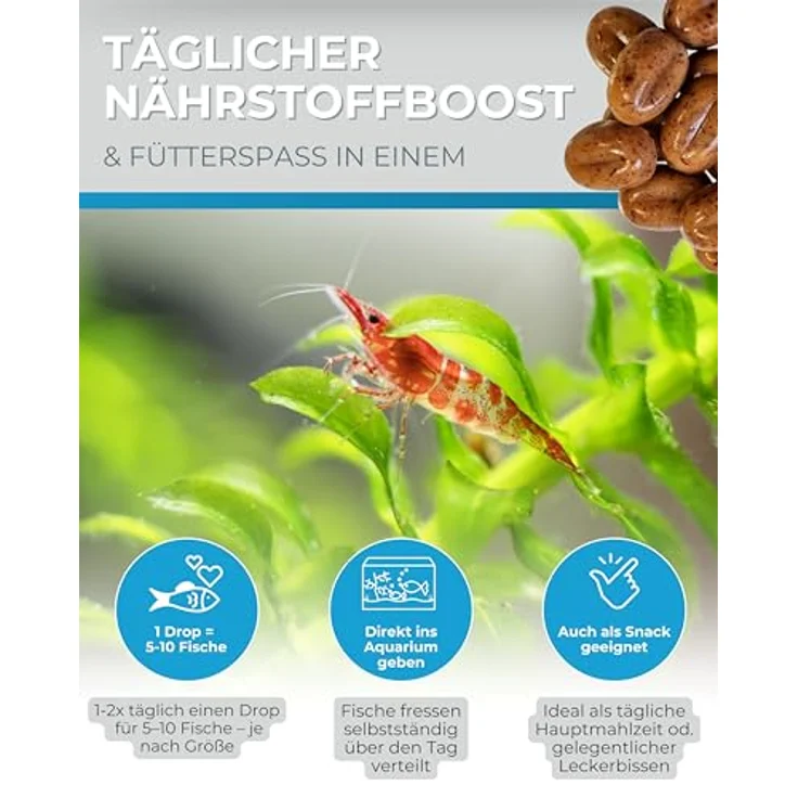 Dupla Gel-O-Drops Krill I Geleefischfutter 12 x 2 g, nährstoffreiches und leicht dosierbares Aquarienfutter, ungekühlt lagerbar – Bild 5