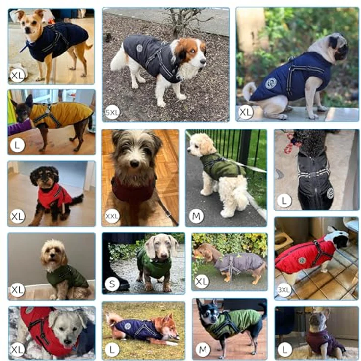 Savlot Hundejacke Winterweste wasserdicht, reflektierend, mit Reißverschluss und Brustgurt - Schwarz, XL – Bild 4