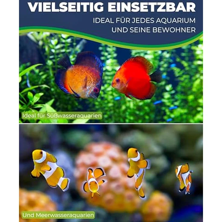 HOBBY Aquaristik Zeolith I 1000 g I Algenhemmendes Filtersubstrat für Süß- und Meerwasseraquarien I Hochwirksames Filtermaterial zur Wasseraufbereitung mit Zeolithsteinen 5-8mm – Bild 5