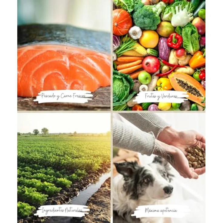 Arquivet Fresh Free Run Turkey 2,5 kg, Hunde-Trockenfutter mit 75 % frischem Fleisch, glutenfrei, kalt gepresst – Bild 3