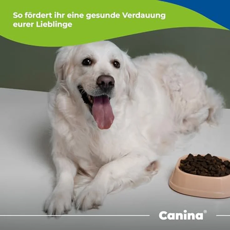 Canina Cellulose Pulver 400g, natürlicher Ballaststoff für gesunden Magen-Darm-Trakt und Gewichtsreduktion – Bild 5