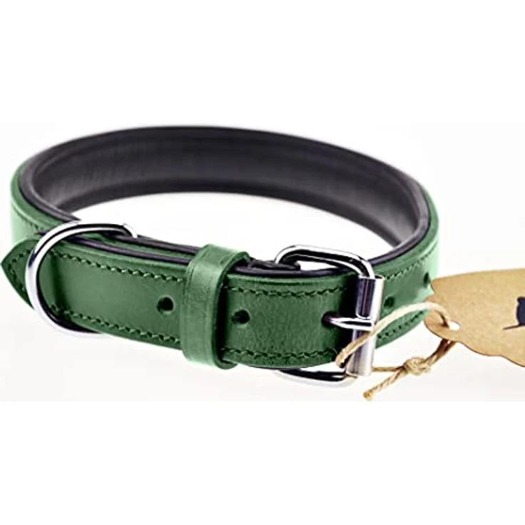 Schnüffelfreunde Lederhalsband für Hunde, gepolstert und robust, für große, mittlere und kleine Hunde, XL (46-55cm), grün – Bild 4