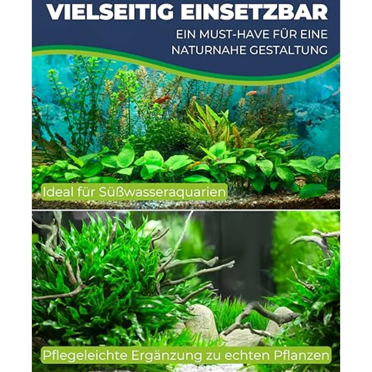 HOBBY Aquariendeko Ludwigia, 34 cm Kunststoffpflanze für Aquarien, naturgetreue Darstellung mit beweglichen Elementen – Bild 5