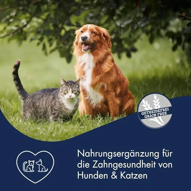 Dr.Clauder's Supplement Snack Dental Care, 150g zur Reduzierung von Zahnbelag und Förderung einer gesunden Maulflora bei Hunden und Katzen – Bild 2