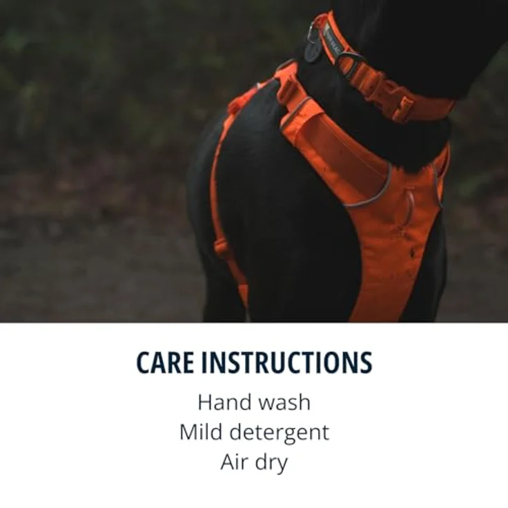 Ruffwear Front Range-Halsband, längenverstellbares Hundehalsband aus weichem Stoff mit V-Ring, Blaze Orange – Bild 4