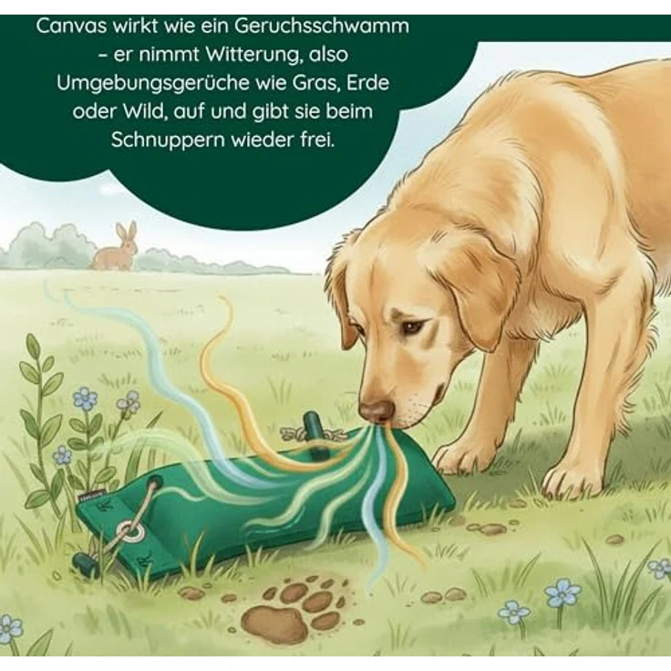 Romneys Junior Dummy, schwimmfähig für Hunde aller Rassen, 250 g, robust aus Canvas, grün – Bild 5