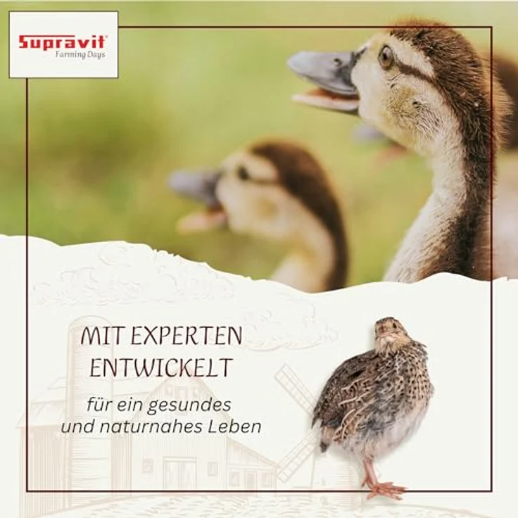 Supravit Aufzucht- & Eifutter für Hühner 2kg | Proteinreiches Ergänzungsfutter für Küken, Legehennen und Junghennen, natürliche Nährstoffversorgung – Bild 3