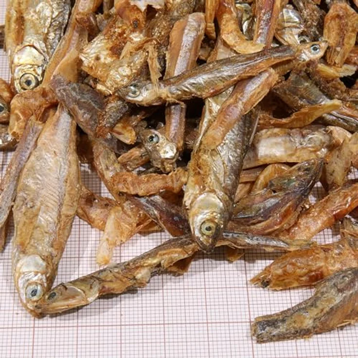 JBL Proterra PESCARUS 250ml, Fischfutter mit getrockneten Fischen und Garnelen, artgerechte Ergänzung ohne künstliche Zusatzstoffe – Bild 2
